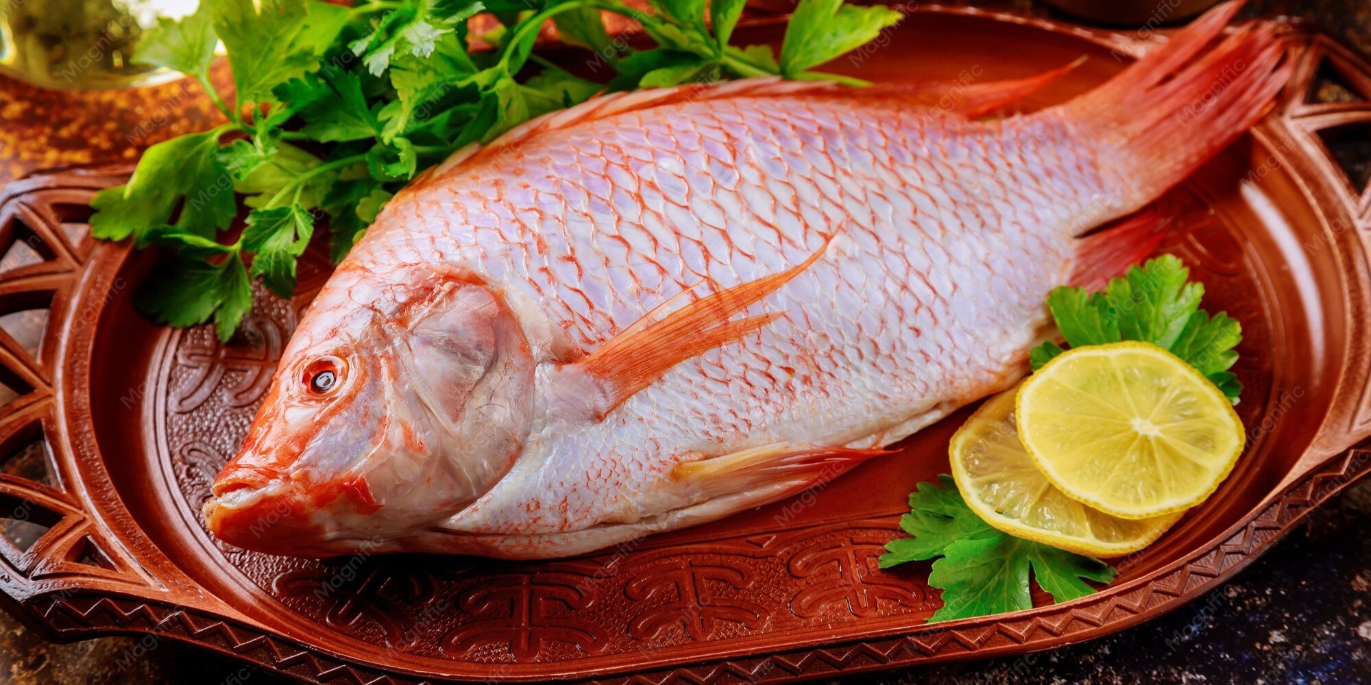 HUU – QUANG FISH COMPANY LIMITED